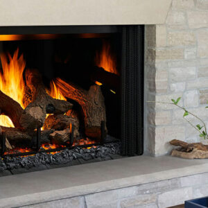 Phoenix Trueview Gas Fireplace