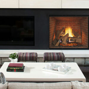 True Series Gas Fireplace