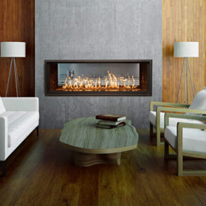 WS54 Indoor See-Thru Fireplace