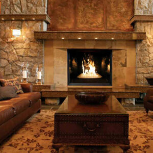 TC54 Indoor Gas Fireplace