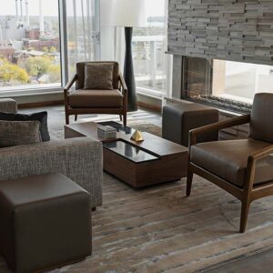 See Through Modern Linear Fireplace2