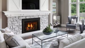 Fireplace Insert Supreme 1