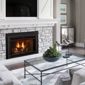 Fireplace Insert Supreme