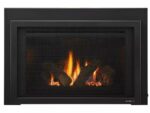 Provident Fireplace Insert