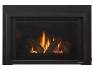 Provident Fireplace Insert