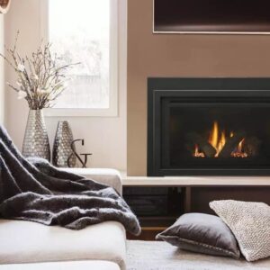 Provident Gas Fireplace Insert