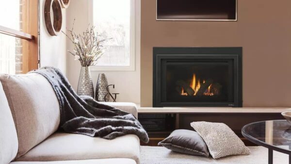 Provident Gas Fireplace Insert